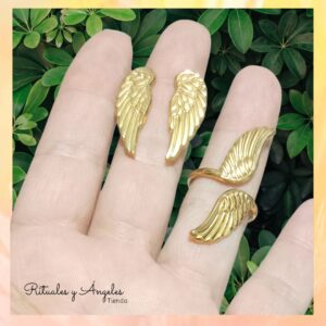 Anillo Alitas Equilibrio o Inversas